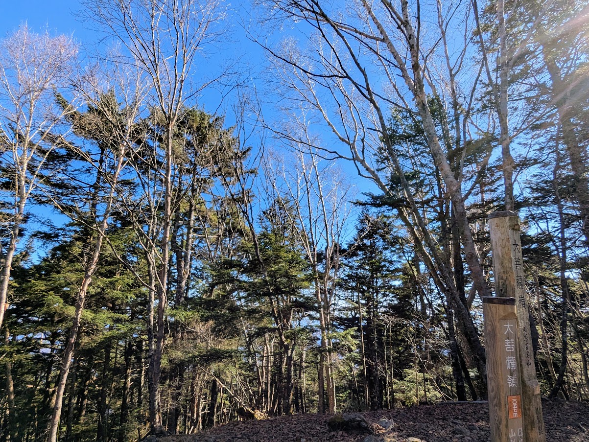 大菩薩嶺山頂の様子