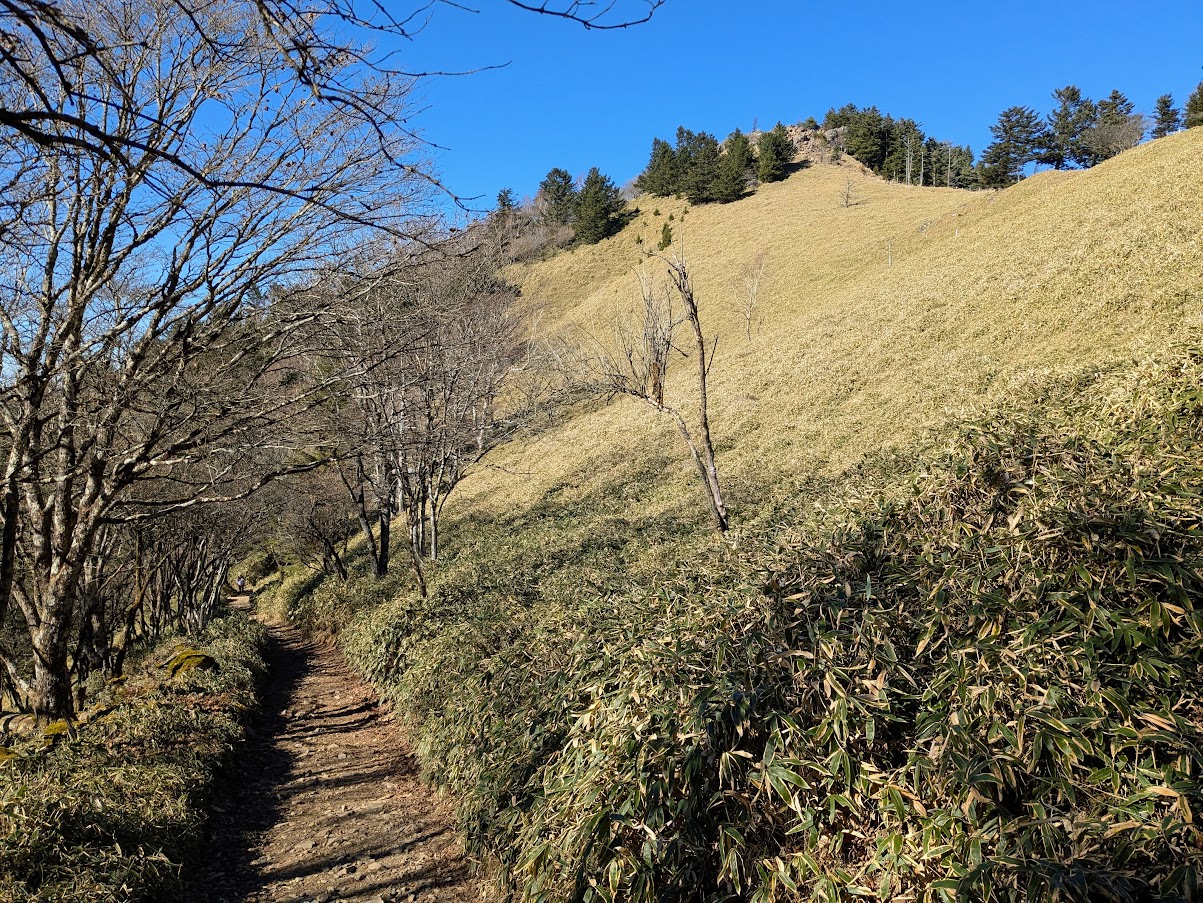 大菩薩嶺(大菩薩峠から福ちゃん荘)