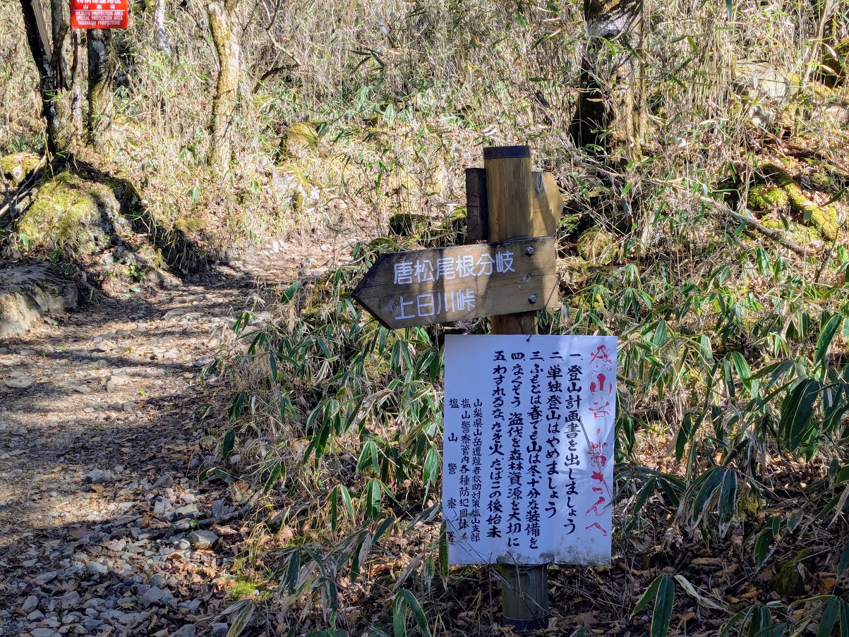 大菩薩嶺(大菩薩峠から福ちゃん荘)
