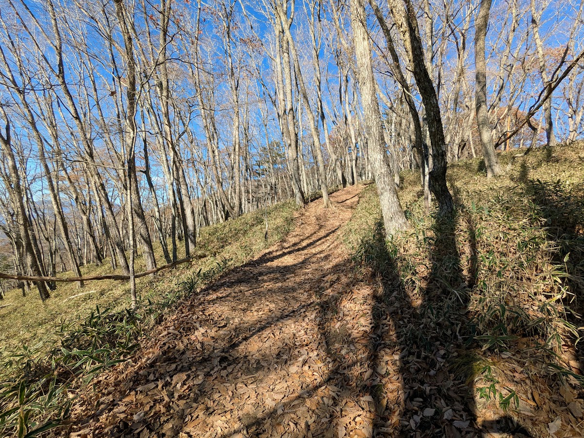 大菩薩嶺(福ちゃん荘から上日川峠)