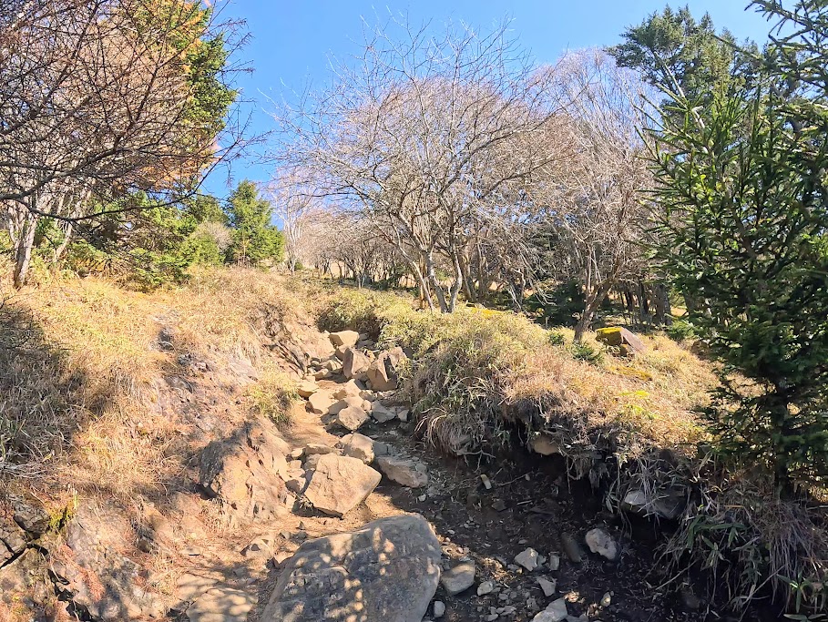 大菩薩嶺(福ちゃん荘から雷岩)