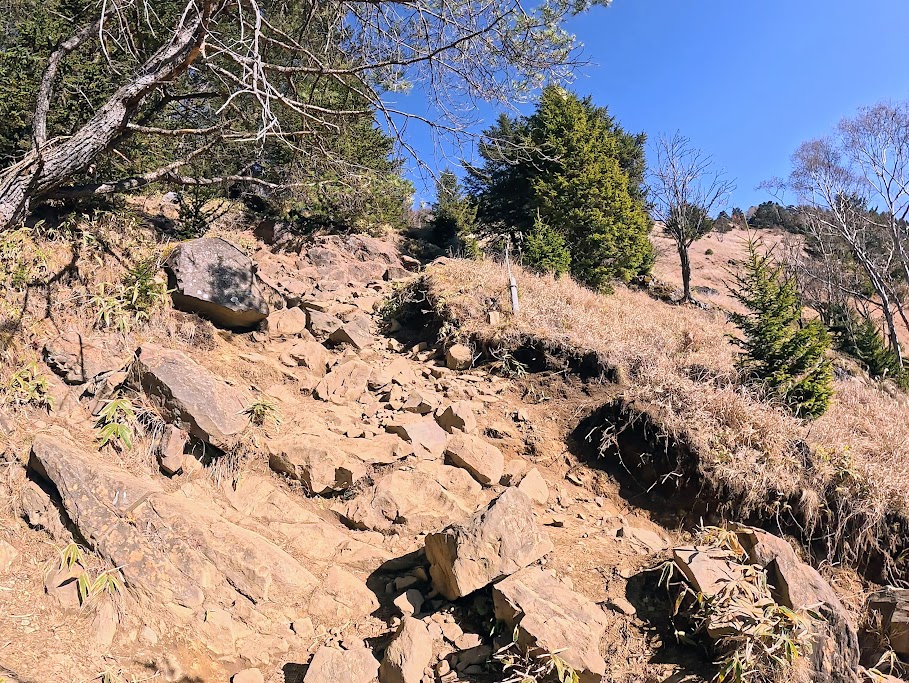 大菩薩嶺(福ちゃん荘から雷岩)