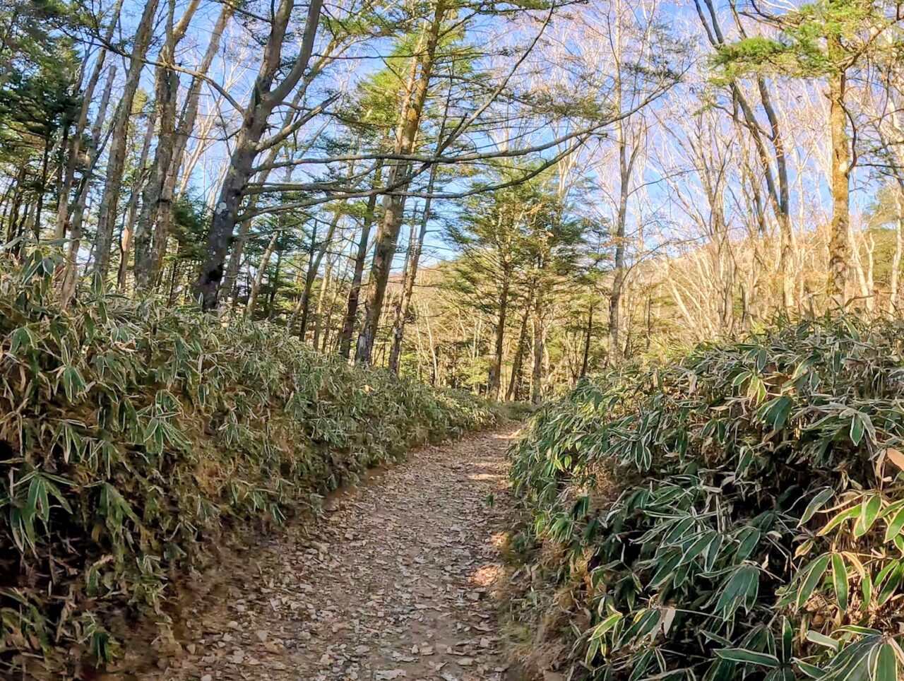 大菩薩嶺(大菩薩峠から福ちゃん荘)