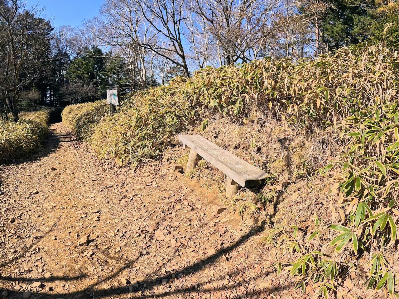 大菩薩嶺(大菩薩峠から福ちゃん荘)