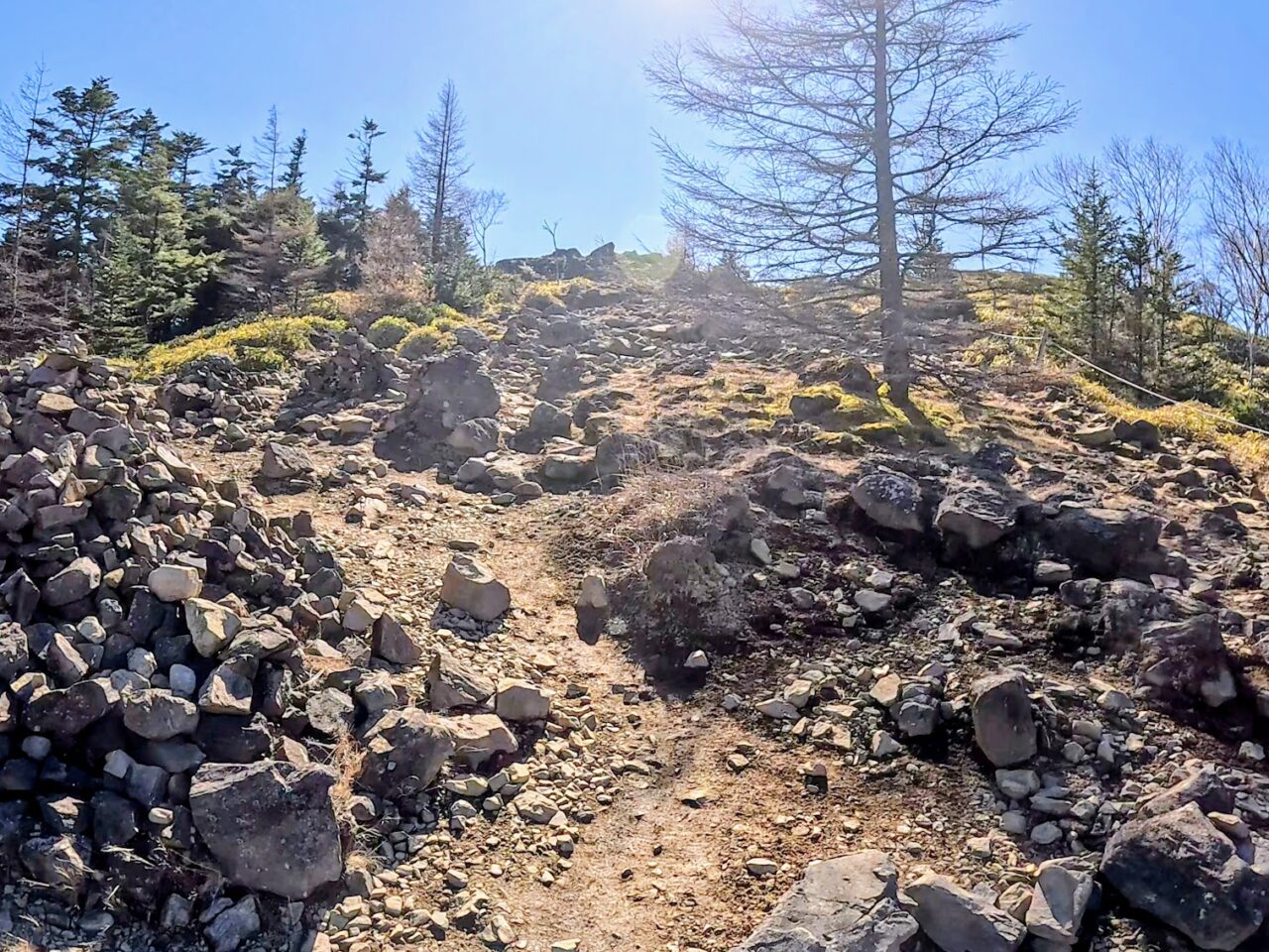 大菩薩嶺(雷岩から大菩薩峠)