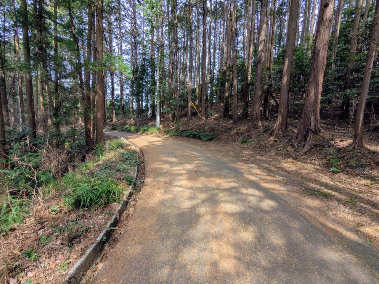 日和田山(高指山山頂から物見山)