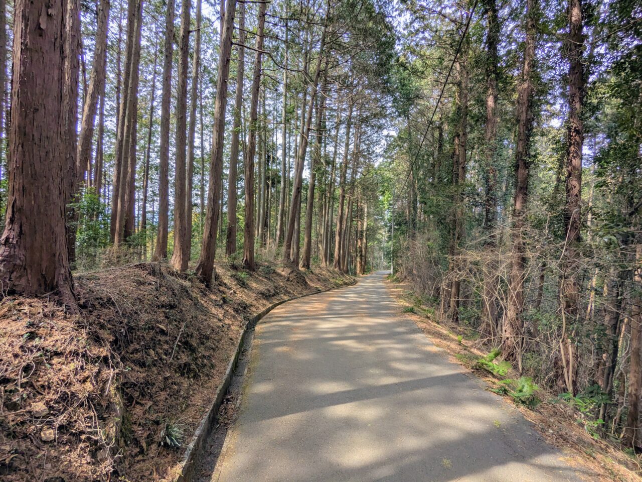日和田山(高指山山頂から物見山)
