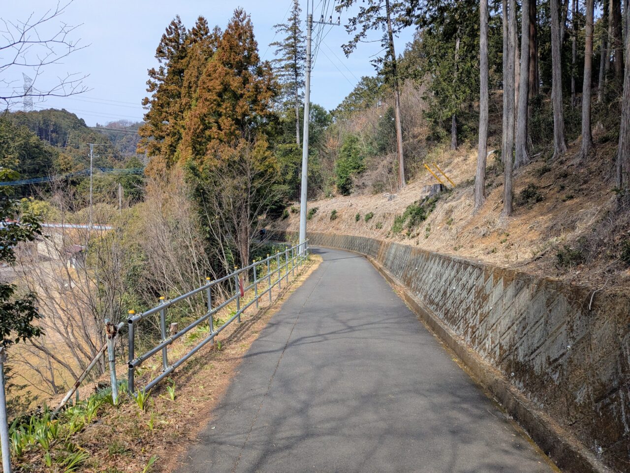 日和田山(高指山山頂から物見山)
