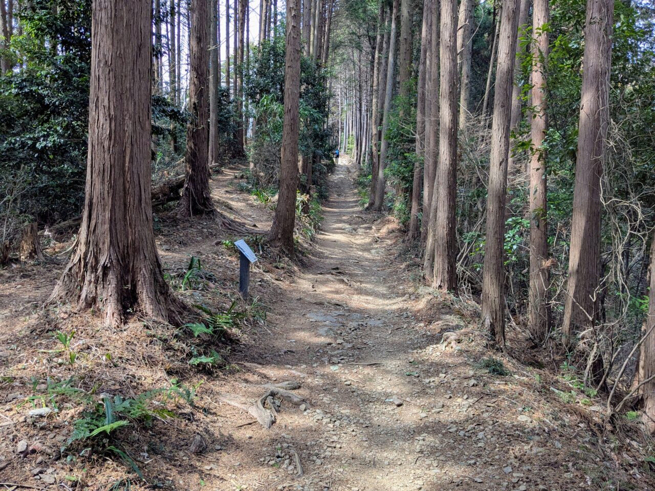 日和田山(高指山山頂から物見山)
