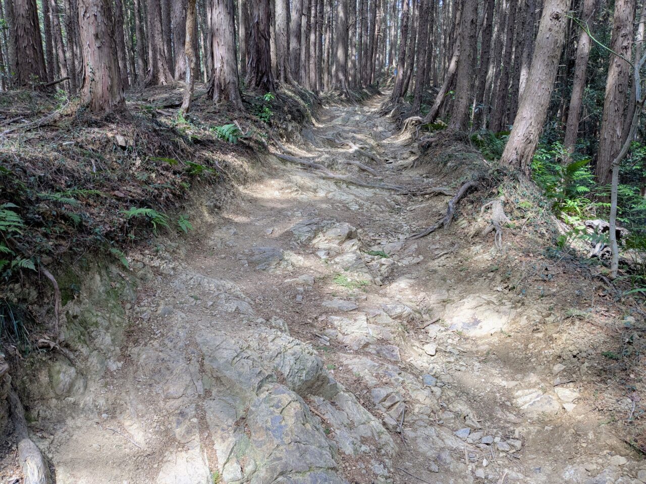 日和田山(高指山山頂から物見山)
