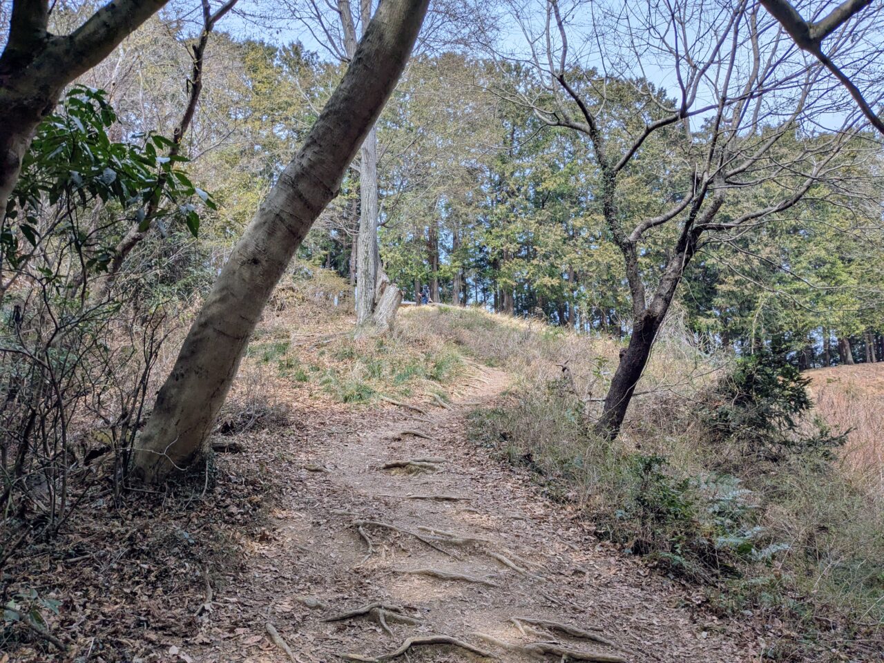 日和田山(高指山山頂から物見山)