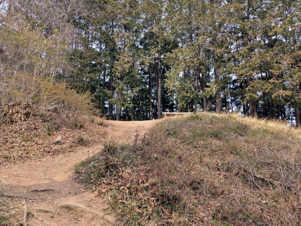 日和田山(高指山山頂から物見山)