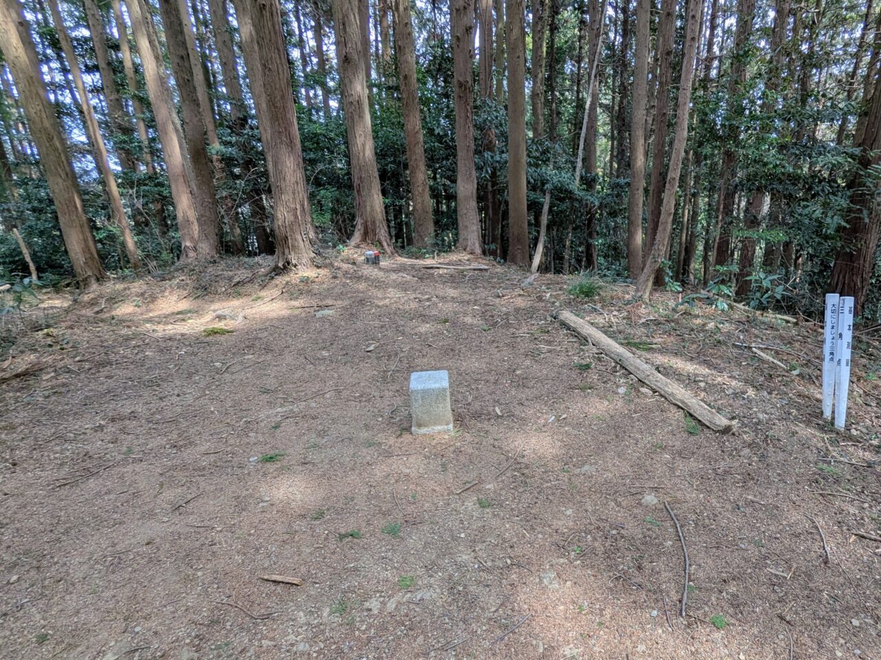 物見山の三角点