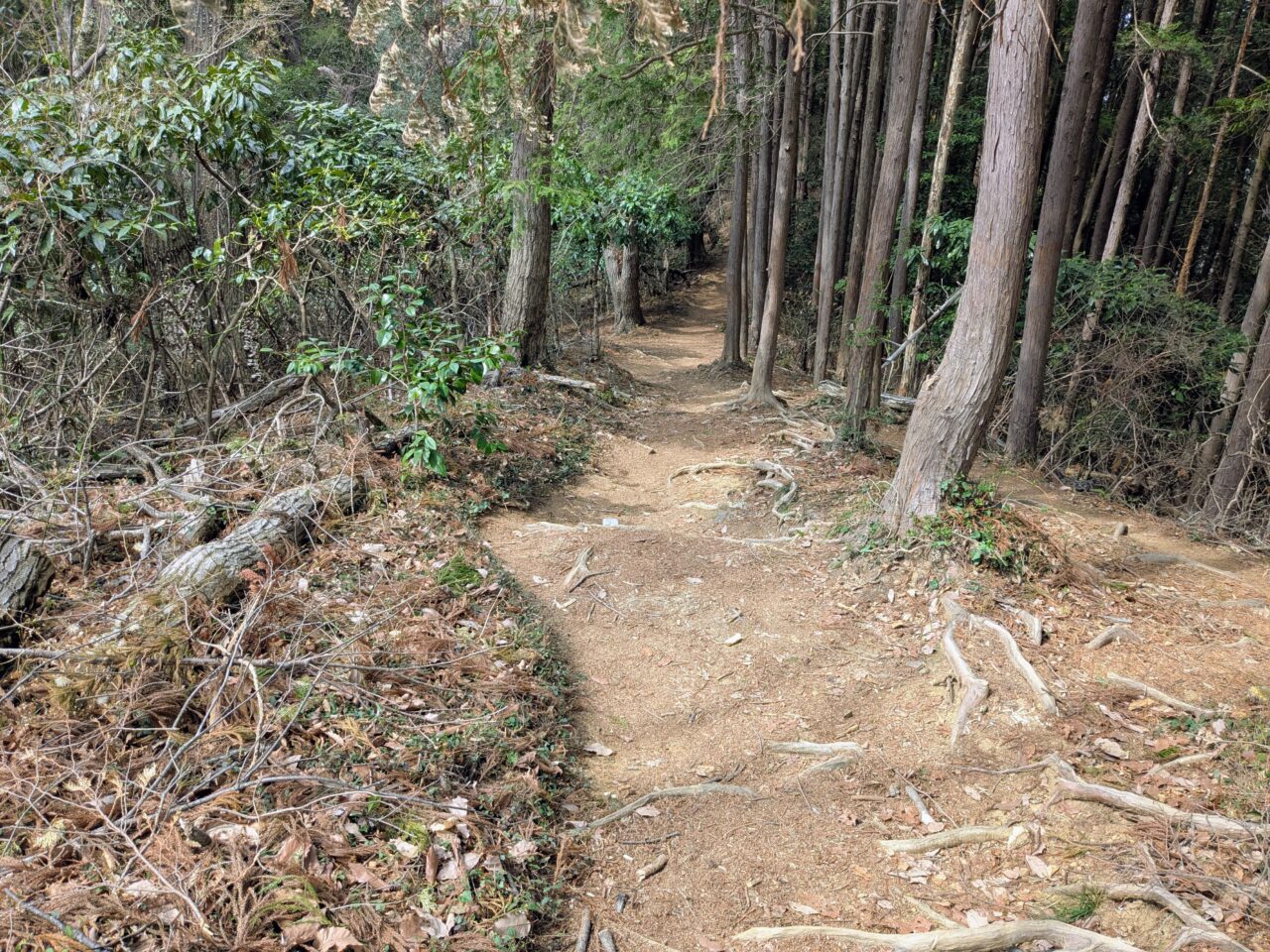 日和田山(物見山山頂から北向地蔵)
