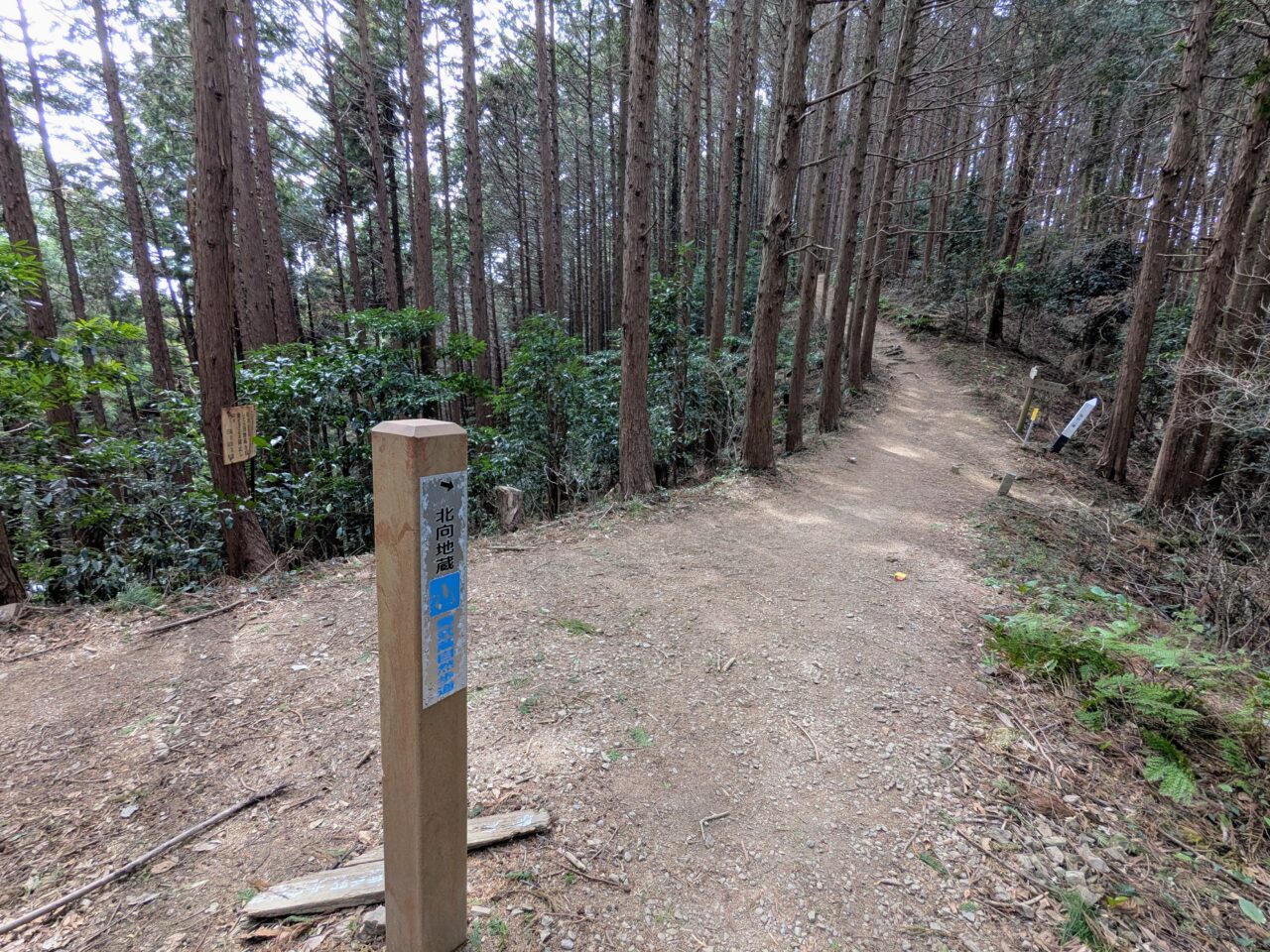 日和田山(物見山山頂から北向地蔵)