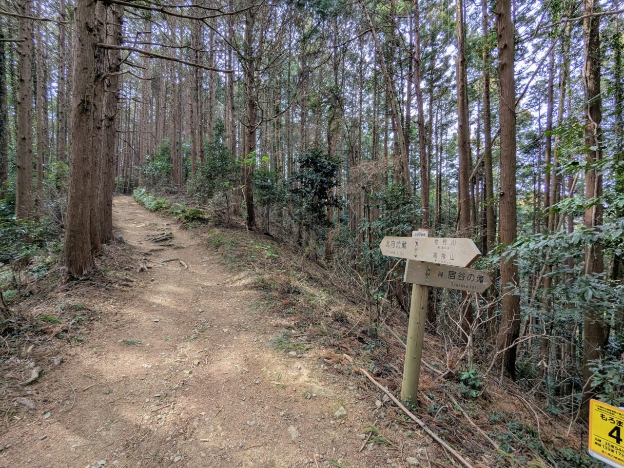 日和田山(物見山山頂から北向地蔵)