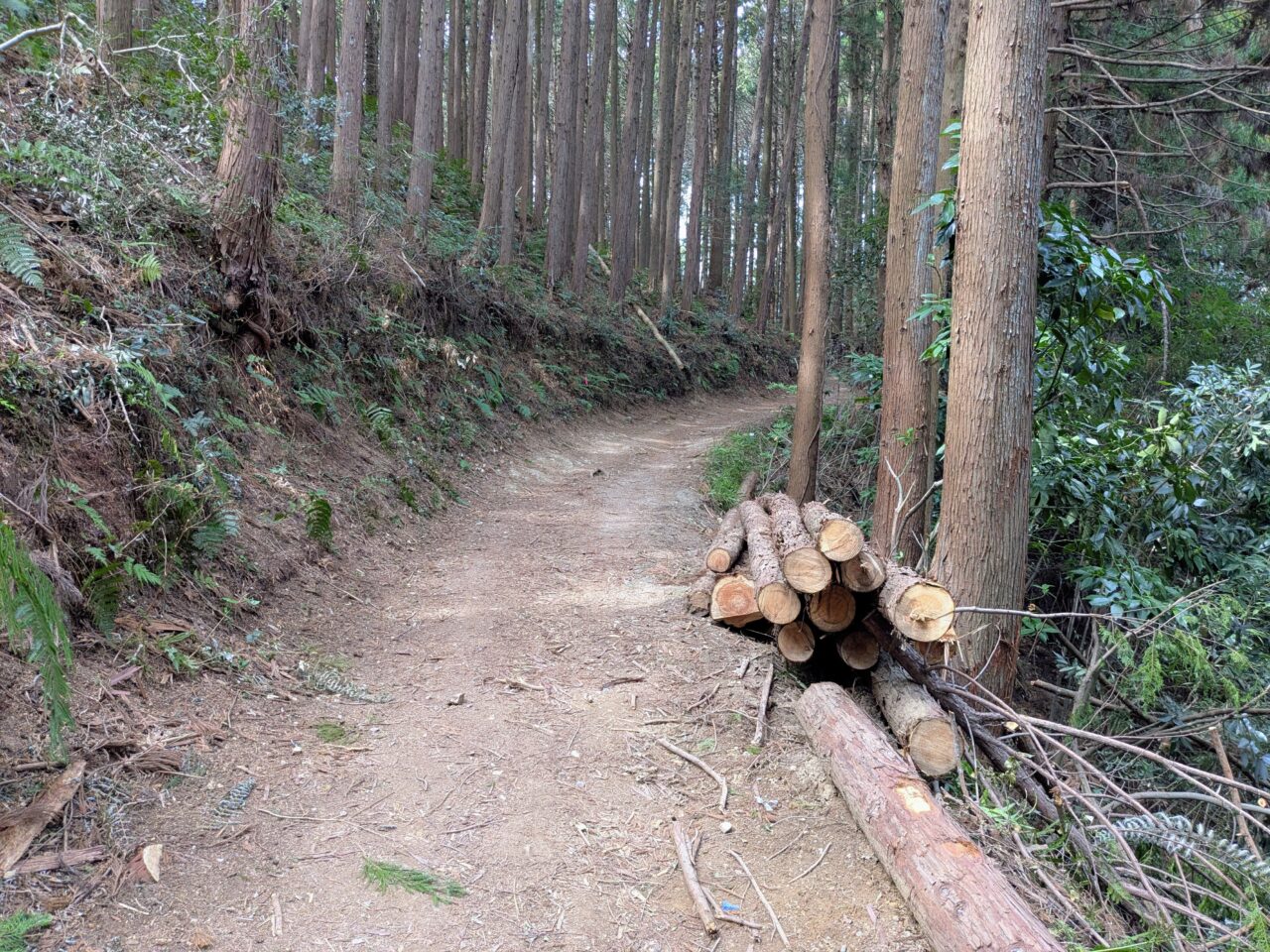 日和田山(物見山山頂から北向地蔵)