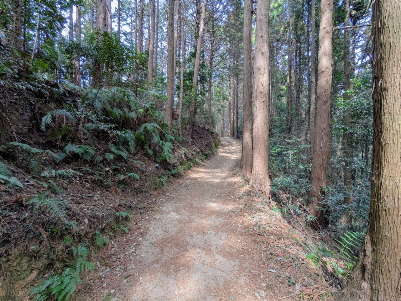 日和田山(物見山山頂から北向地蔵)