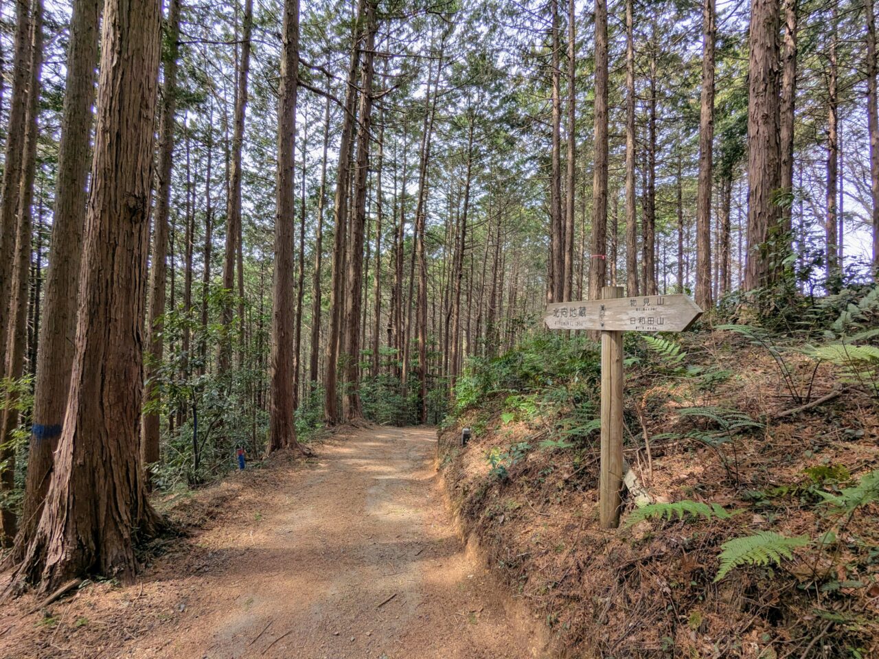 日和田山(物見山山頂から北向地蔵)