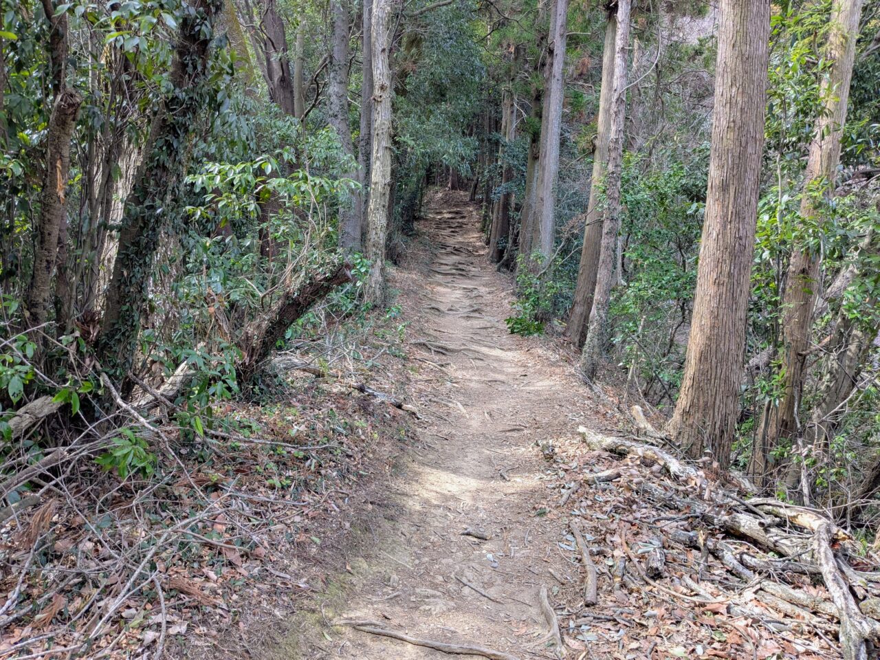 日和田山(物見山山頂から北向地蔵)
