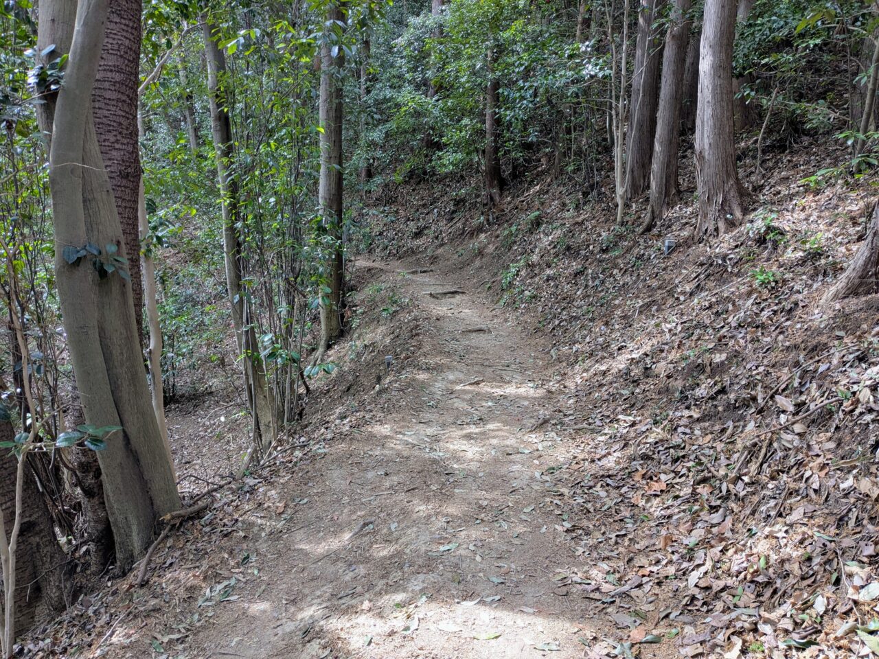 日和田山(物見山山頂から北向地蔵)