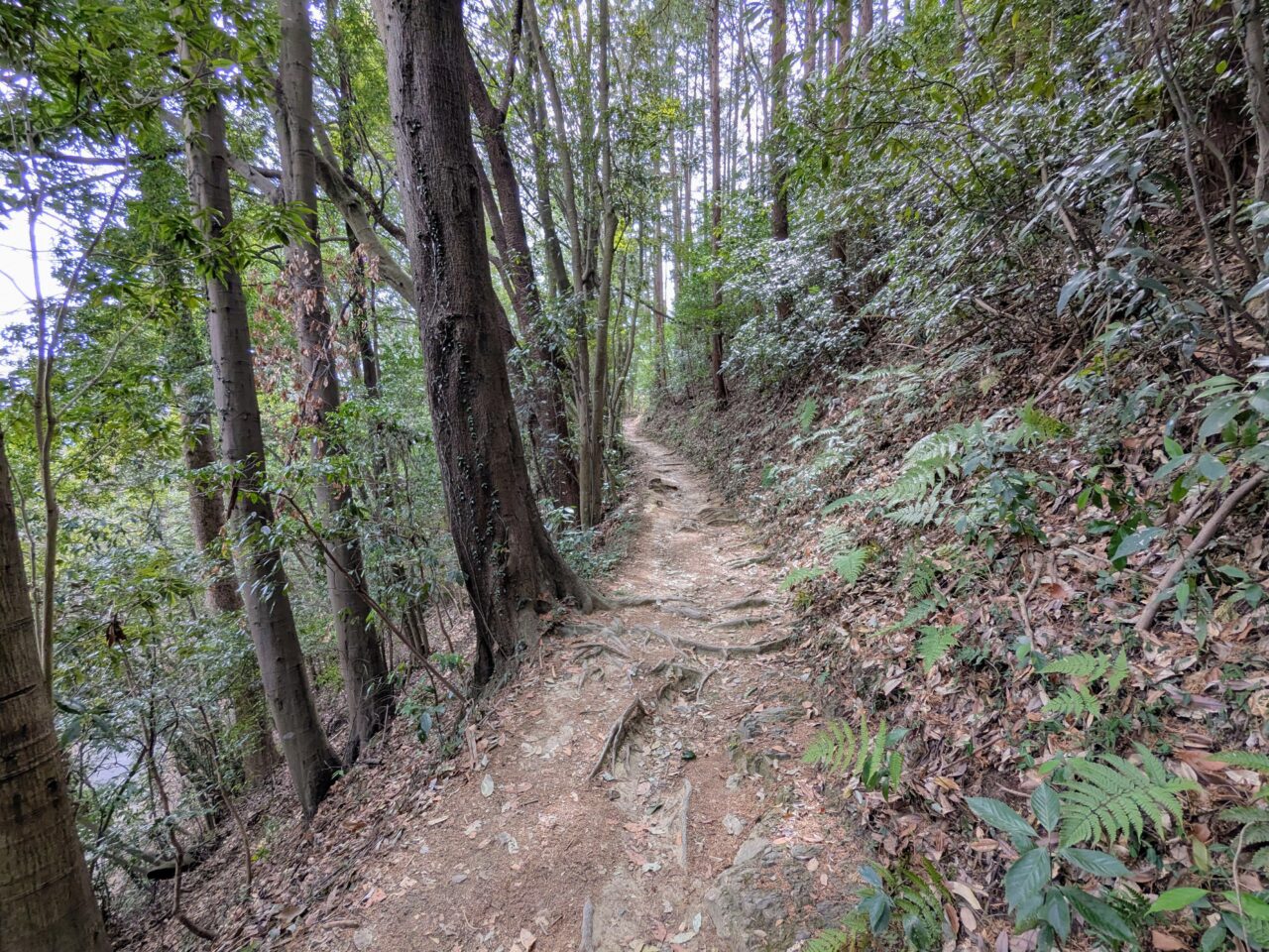 日和田山(物見山山頂から北向地蔵)