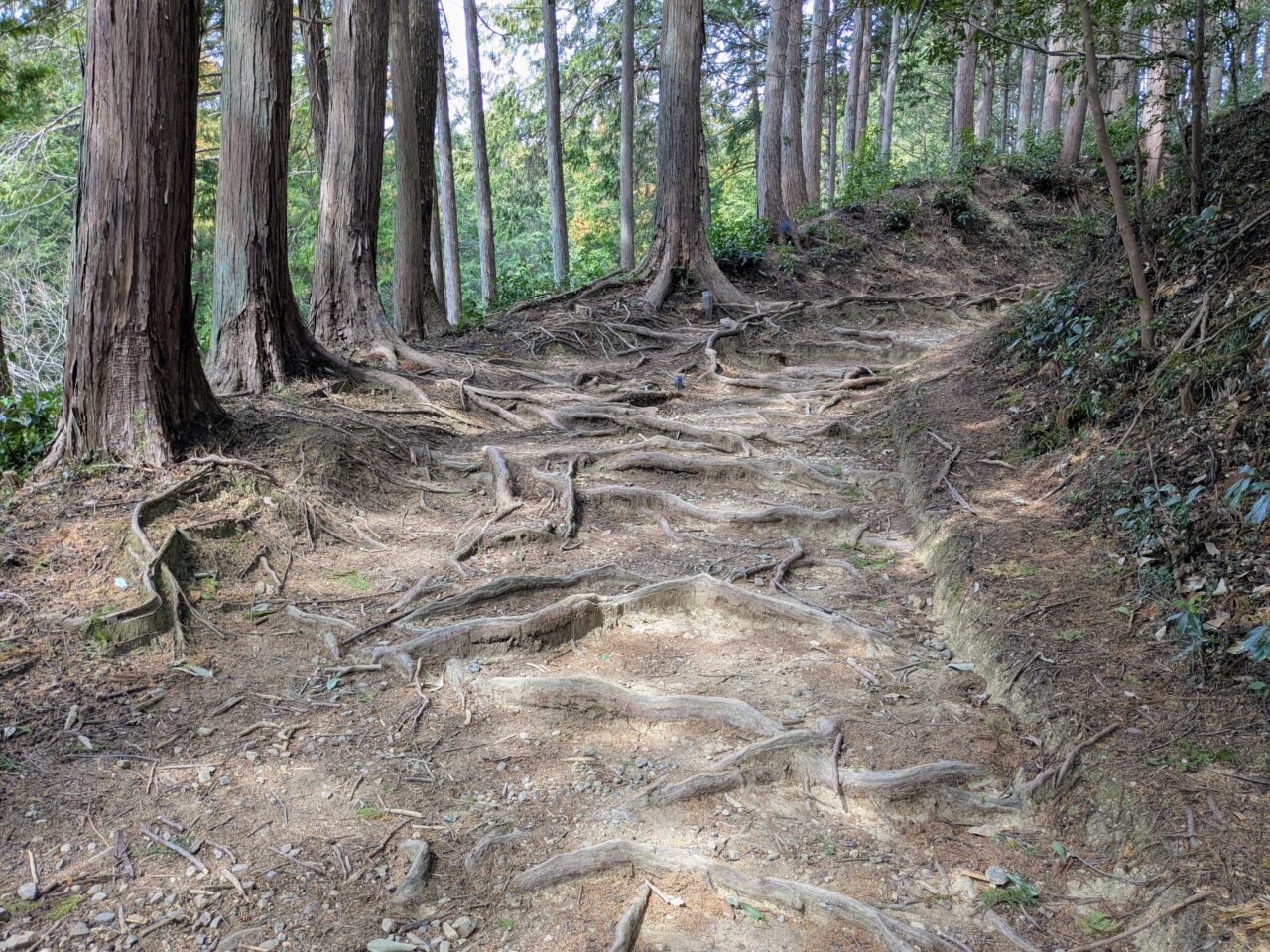 日和田山(物見山山頂から北向地蔵)