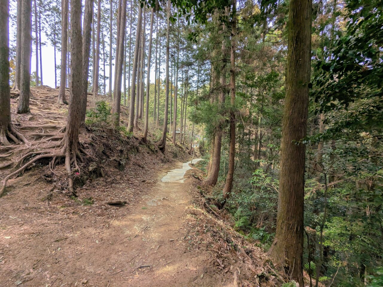 日和田山(物見山山頂から北向地蔵)