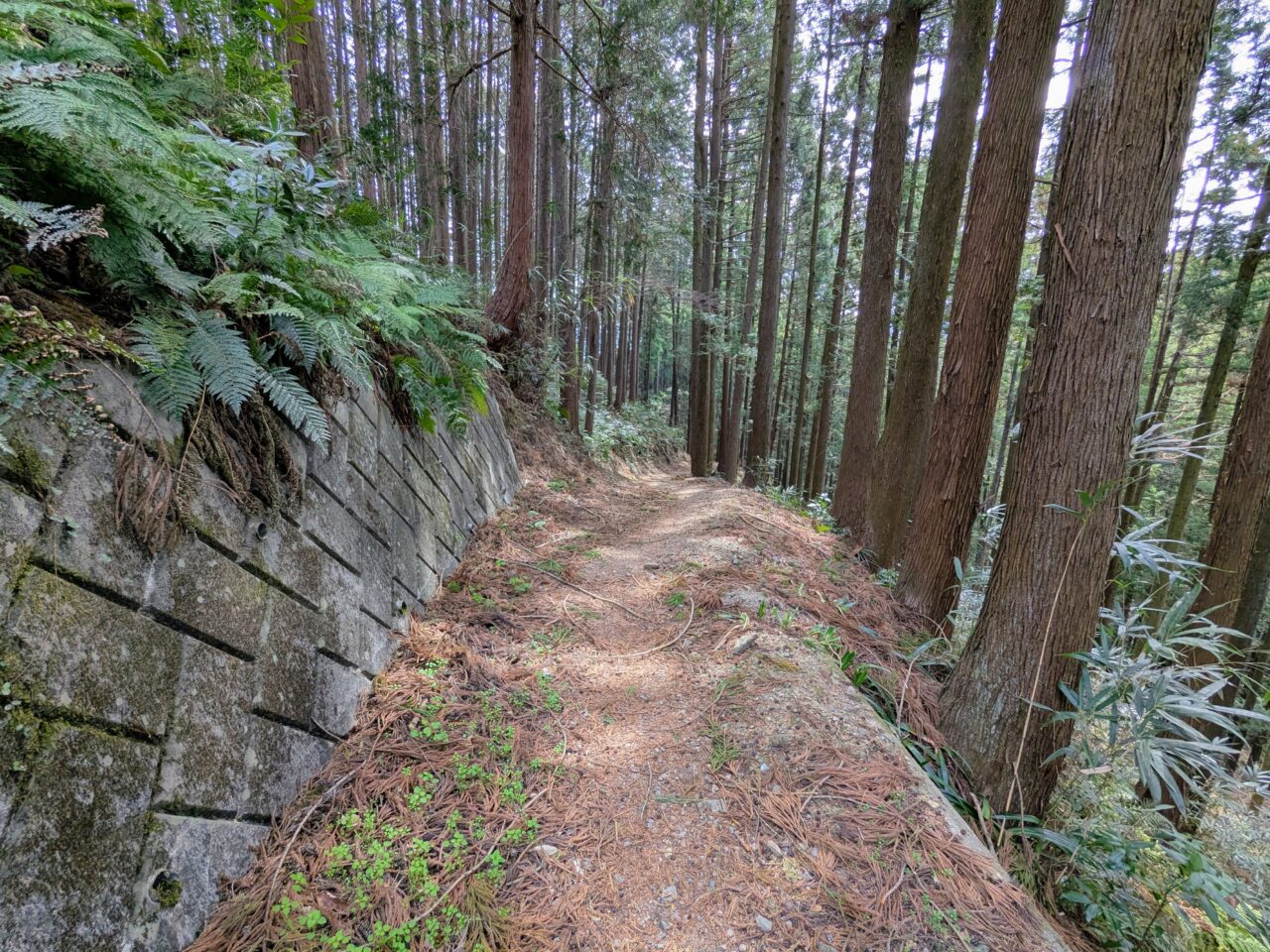 日和田山(北向地蔵から五常の滝)