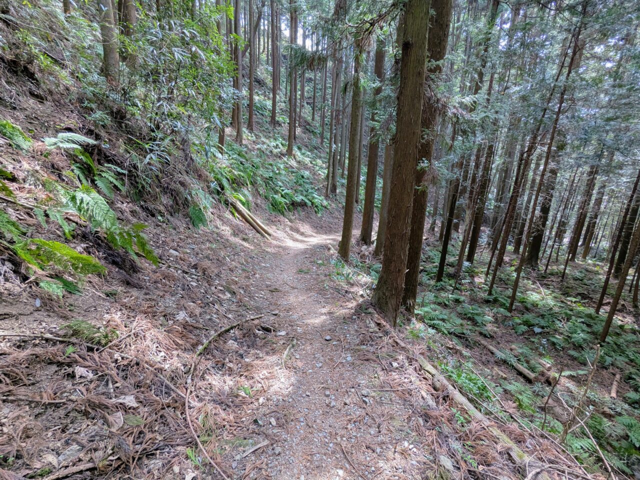 日和田山(北向地蔵から五常の滝)