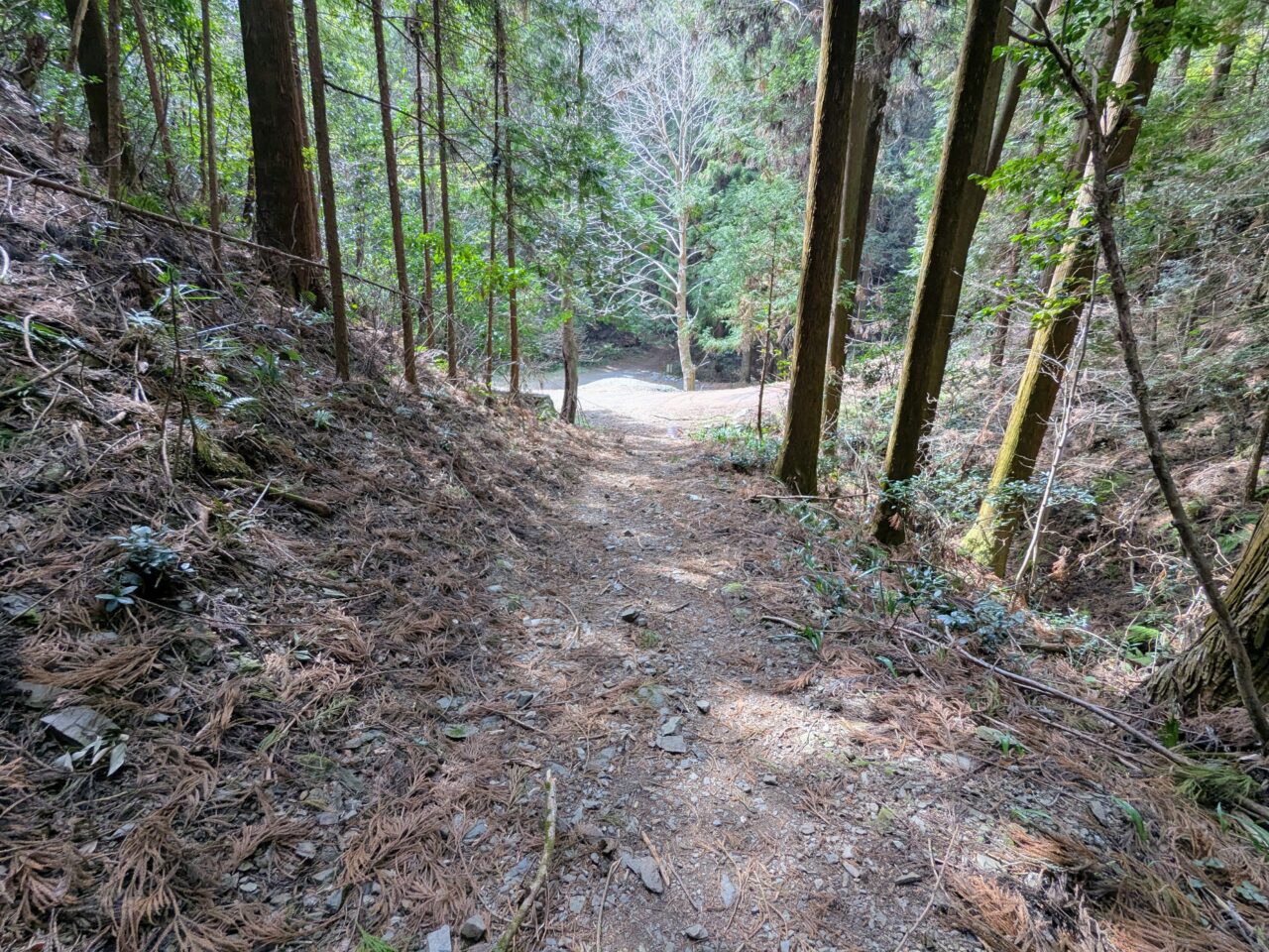 日和田山(北向地蔵から五常の滝)