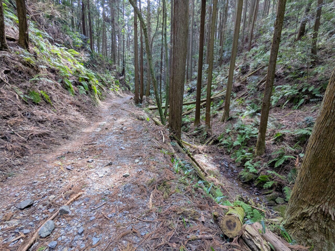 日和田山(北向地蔵から五常の滝)