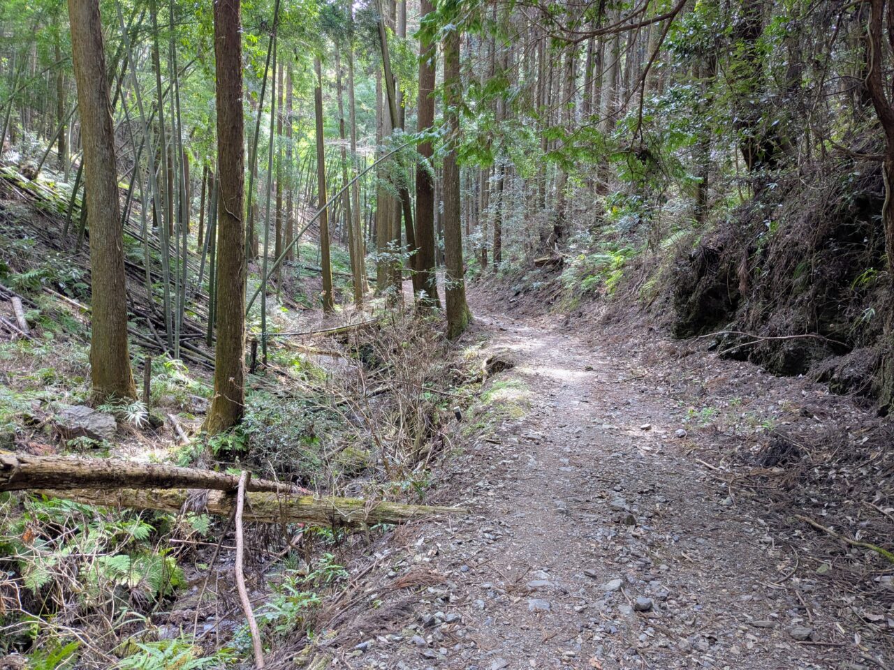 日和田山(北向地蔵から五常の滝)