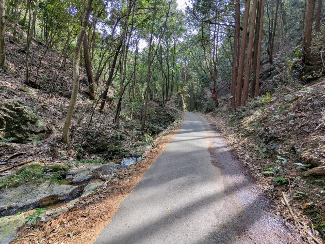 日和田山(北向地蔵から五常の滝)