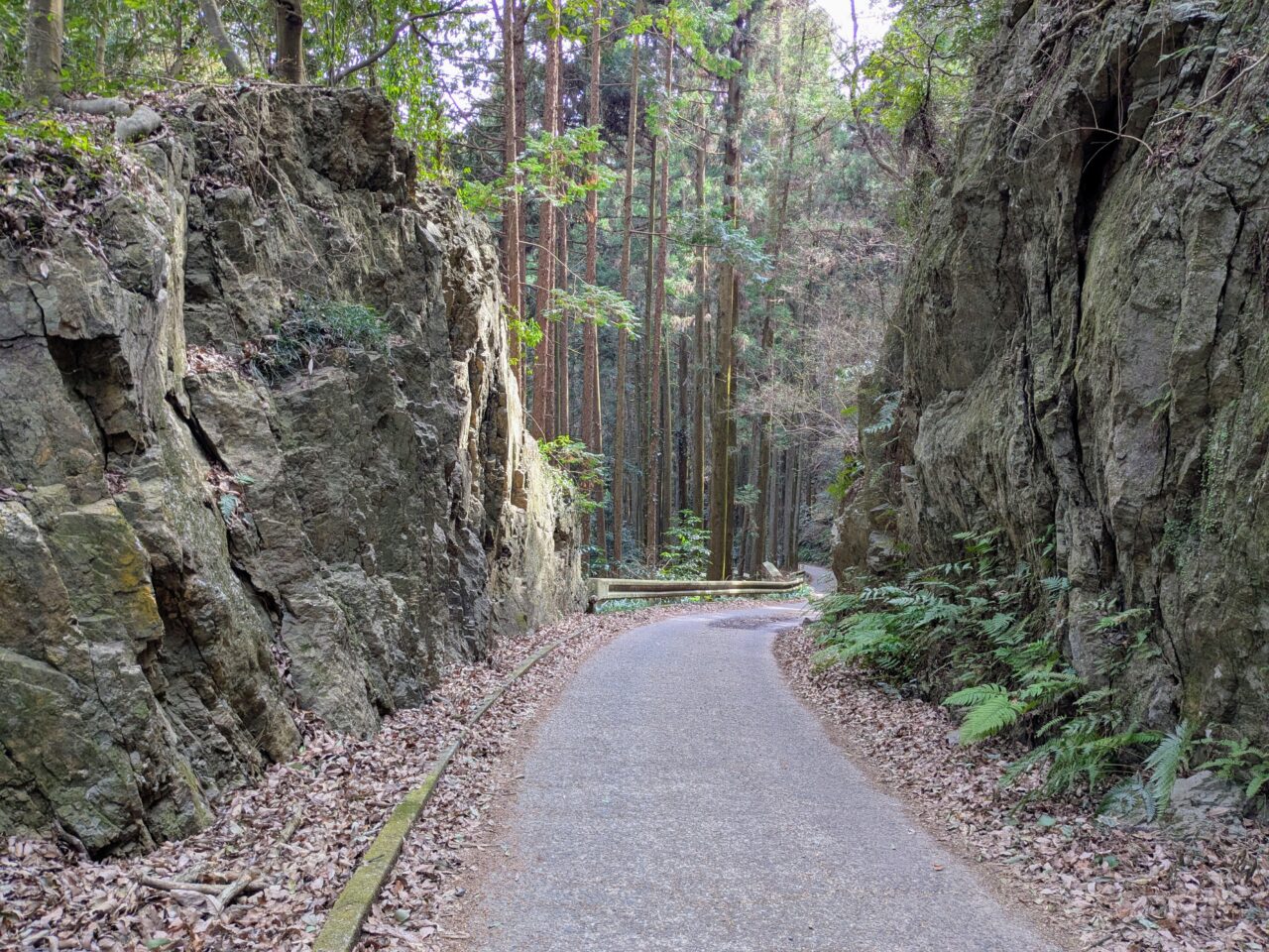 日和田山(北向地蔵から五常の滝)