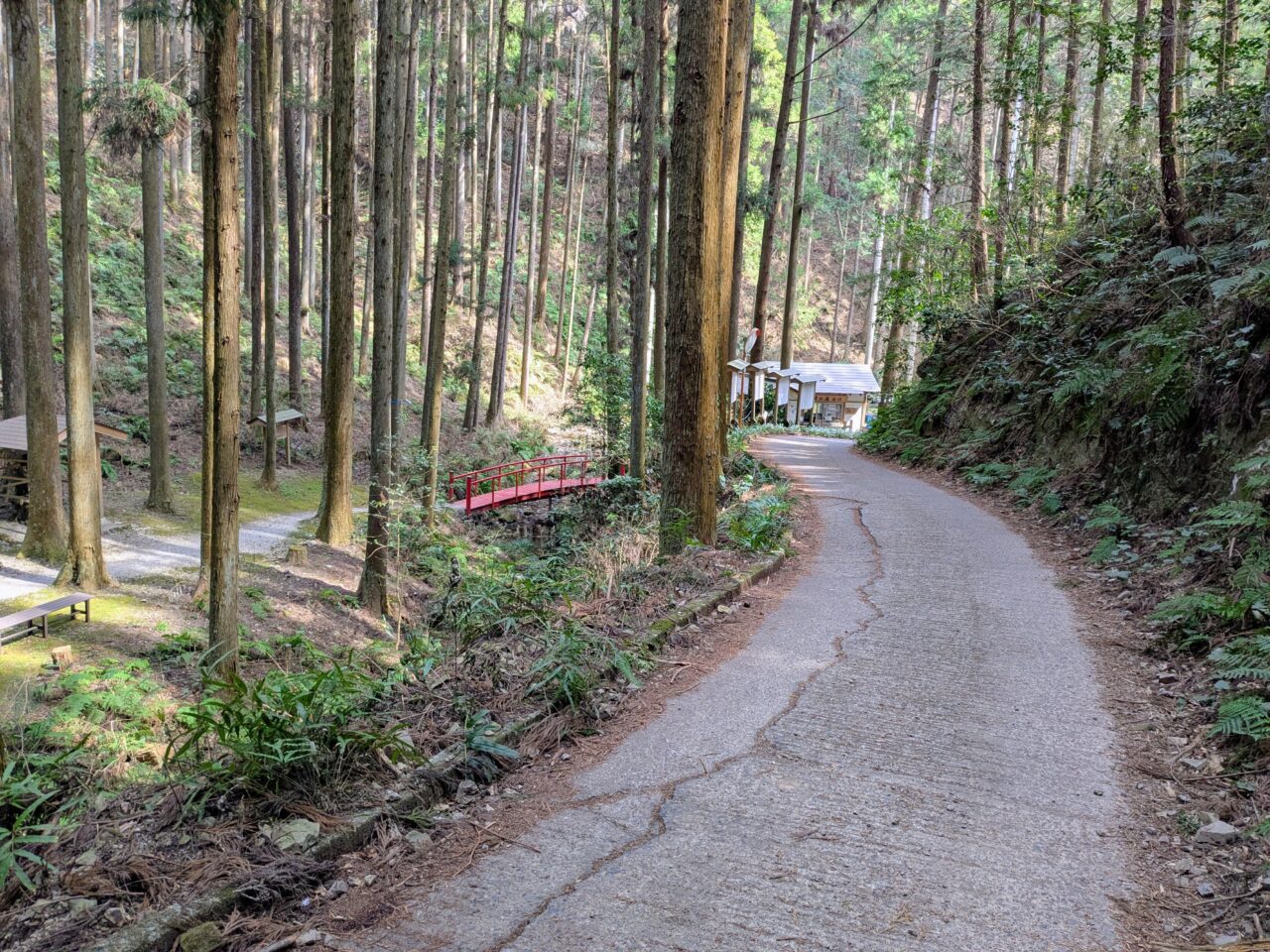 日和田山(北向地蔵から五常の滝)