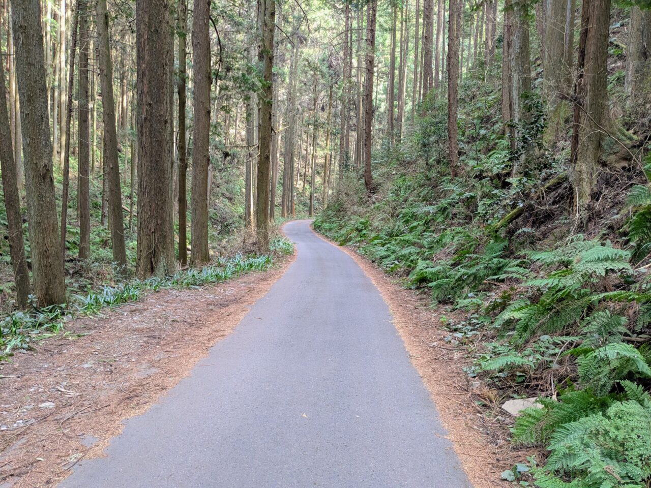 日和田山(五常の滝から武蔵横手駅)
