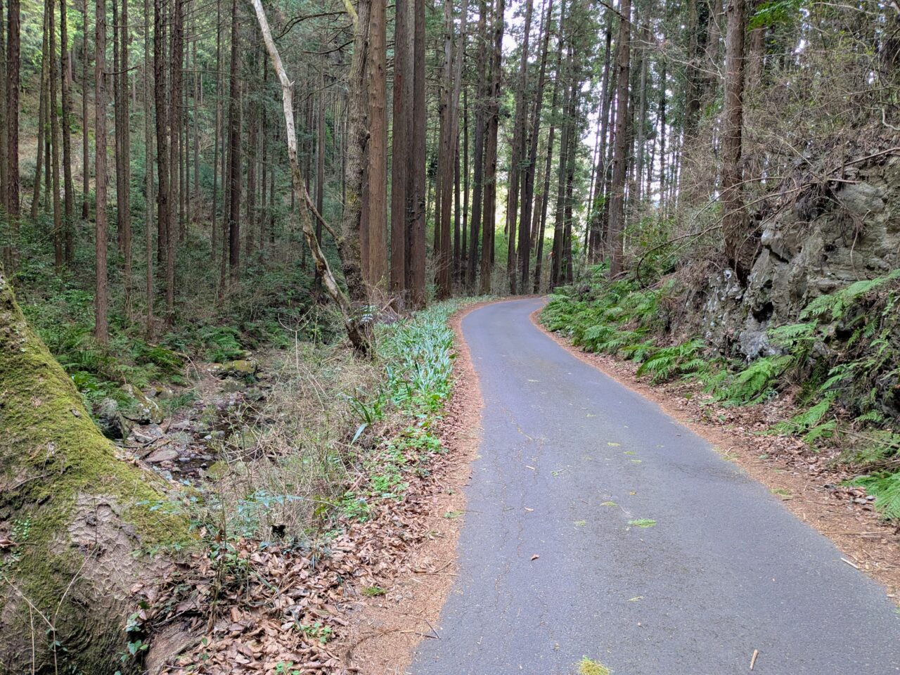 日和田山(五常の滝から武蔵横手駅)