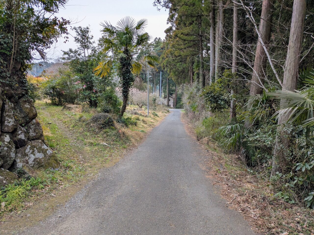日和田山(五常の滝から武蔵横手駅)