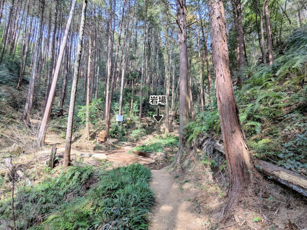 日和田山(日和田山登山口から日和田山山頂)