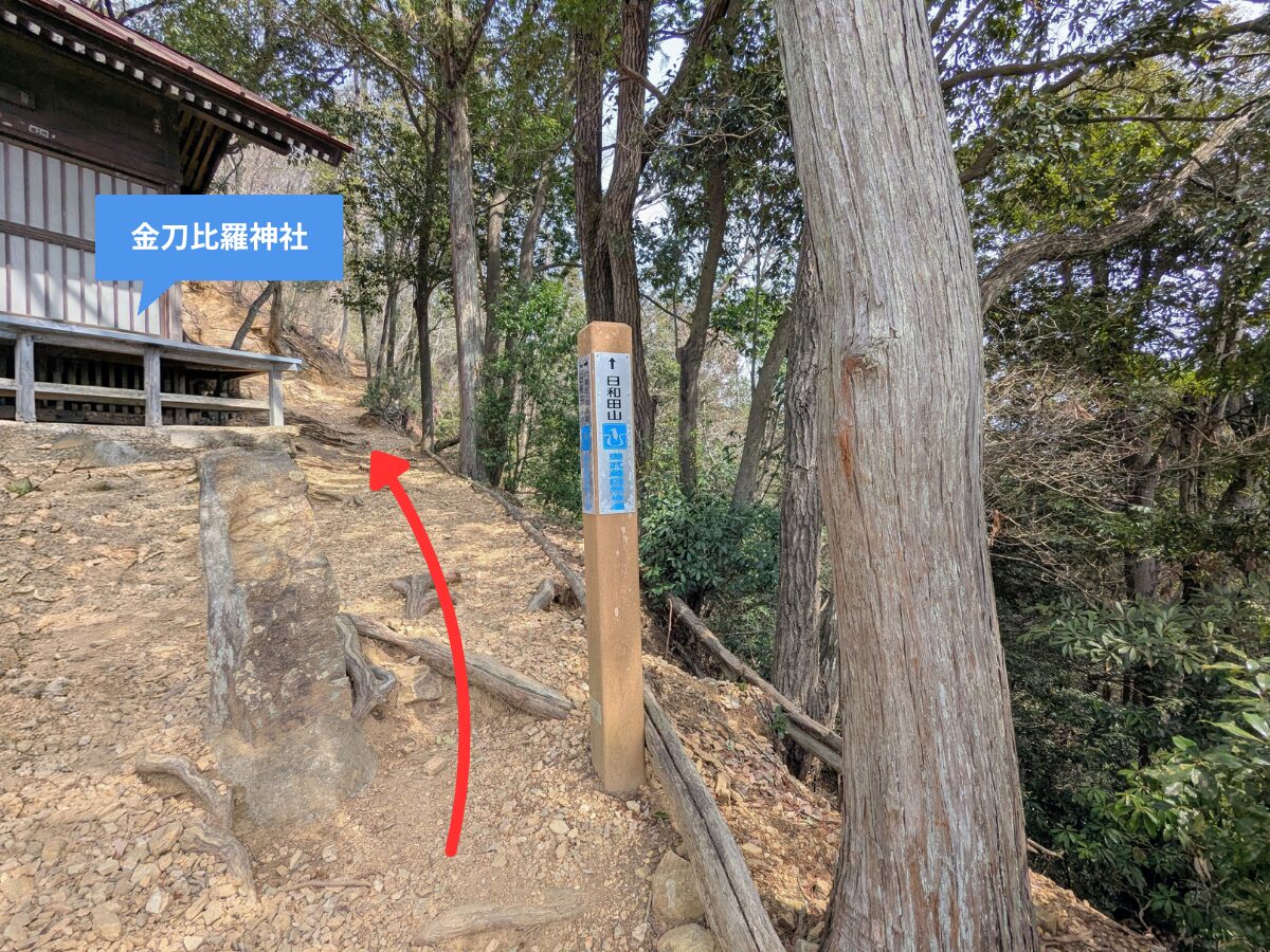日和田山(日和田山登山口から日和田山山頂)