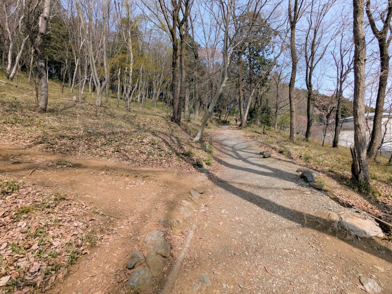 日和田山(日和田山登山口から日和田山山頂)