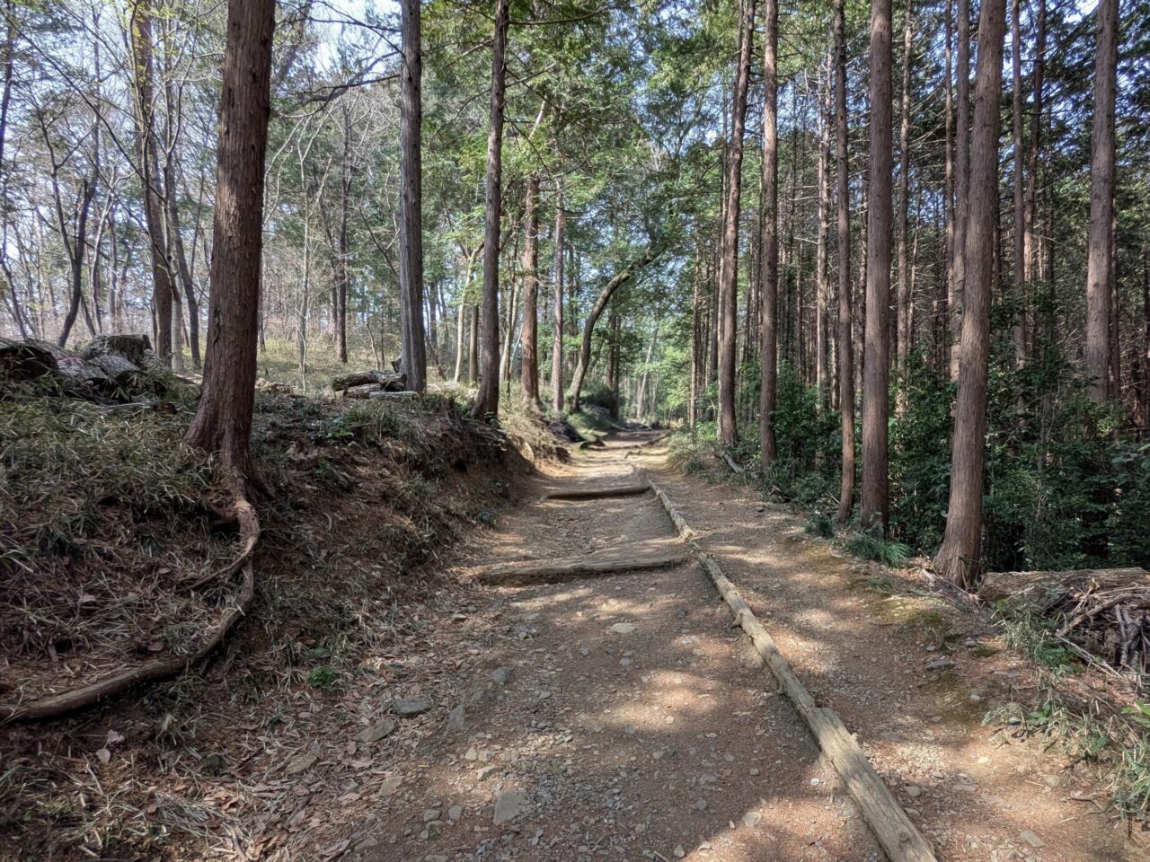 日和田山(日和田山登山口から日和田山山頂)
