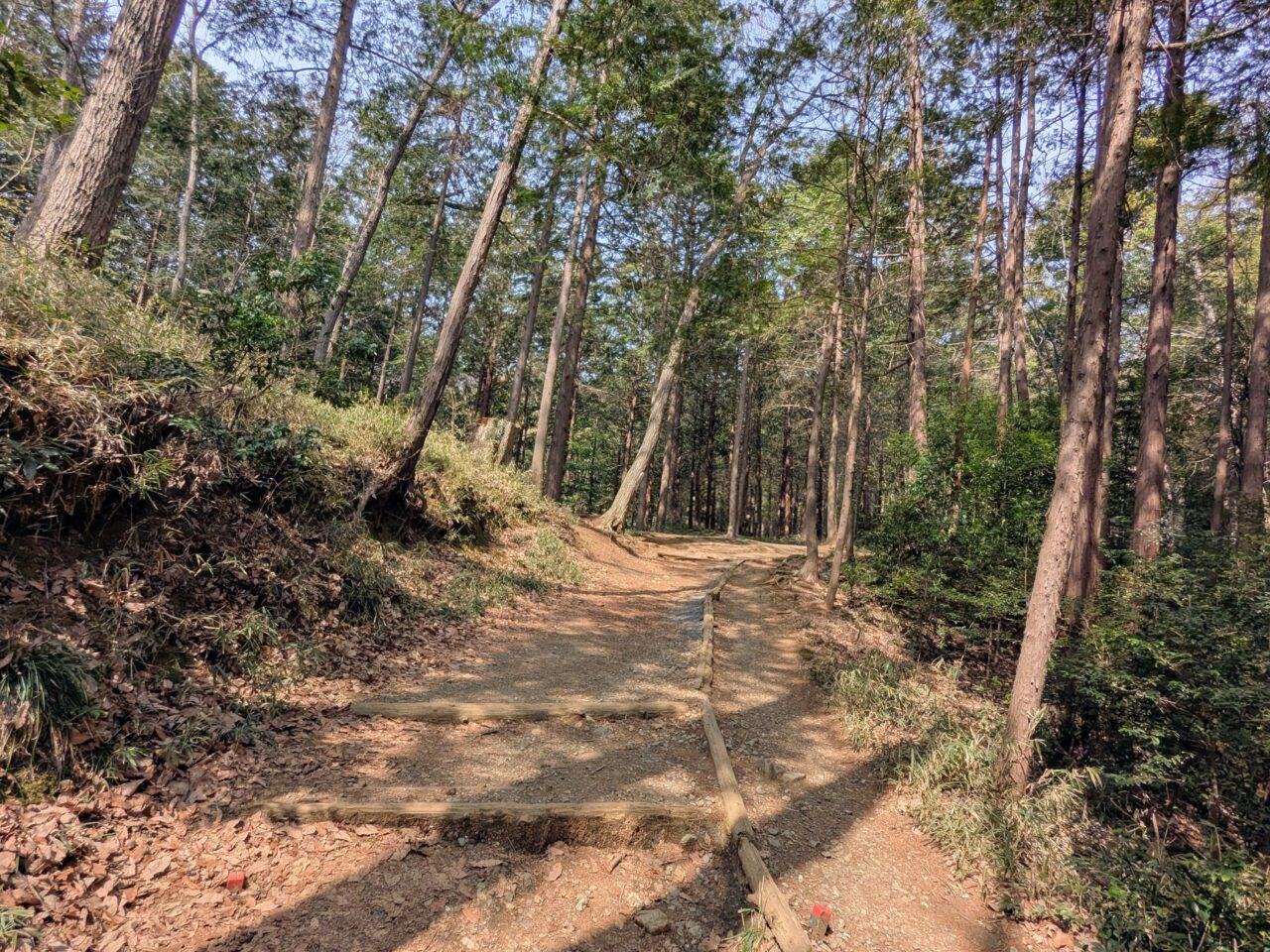日和田山(日和田山登山口から日和田山山頂)