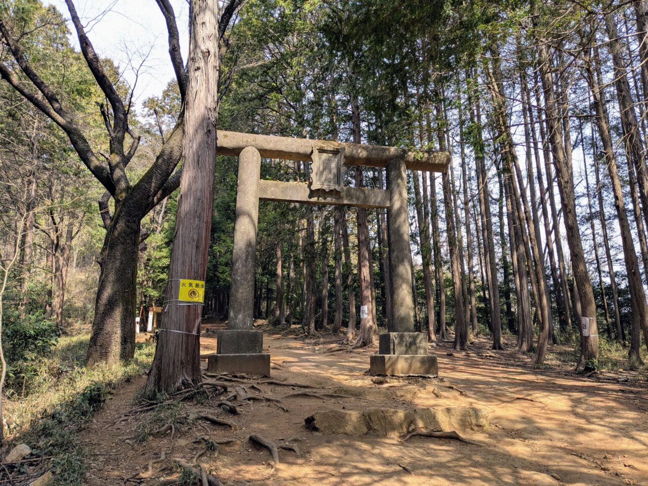 日和田山(日和田山登山口から日和田山山頂)