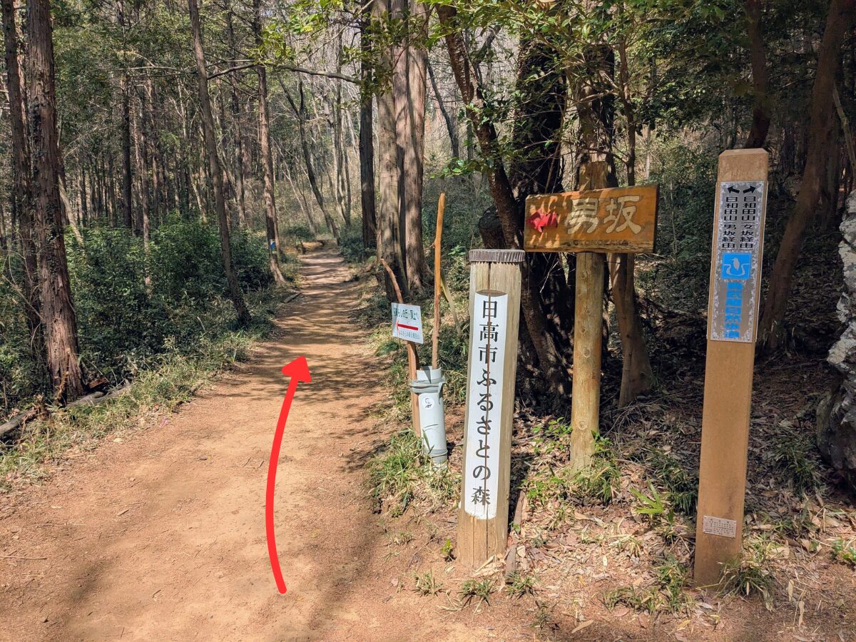 日和田山(日和田山登山口から日和田山山頂)
