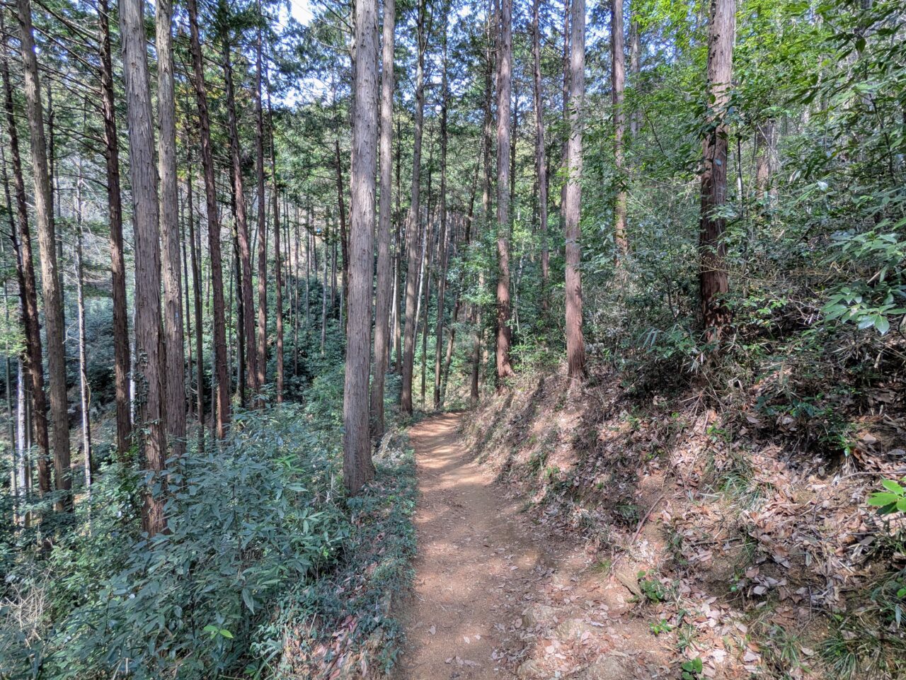日和田山(日和田山登山口から日和田山山頂)