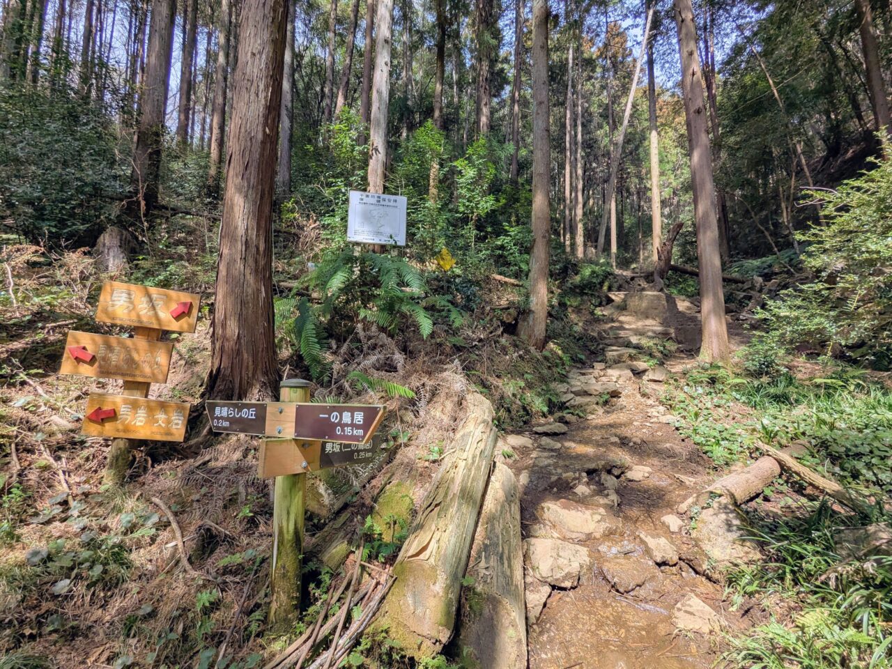 日和田山(日和田山登山口から日和田山山頂)
