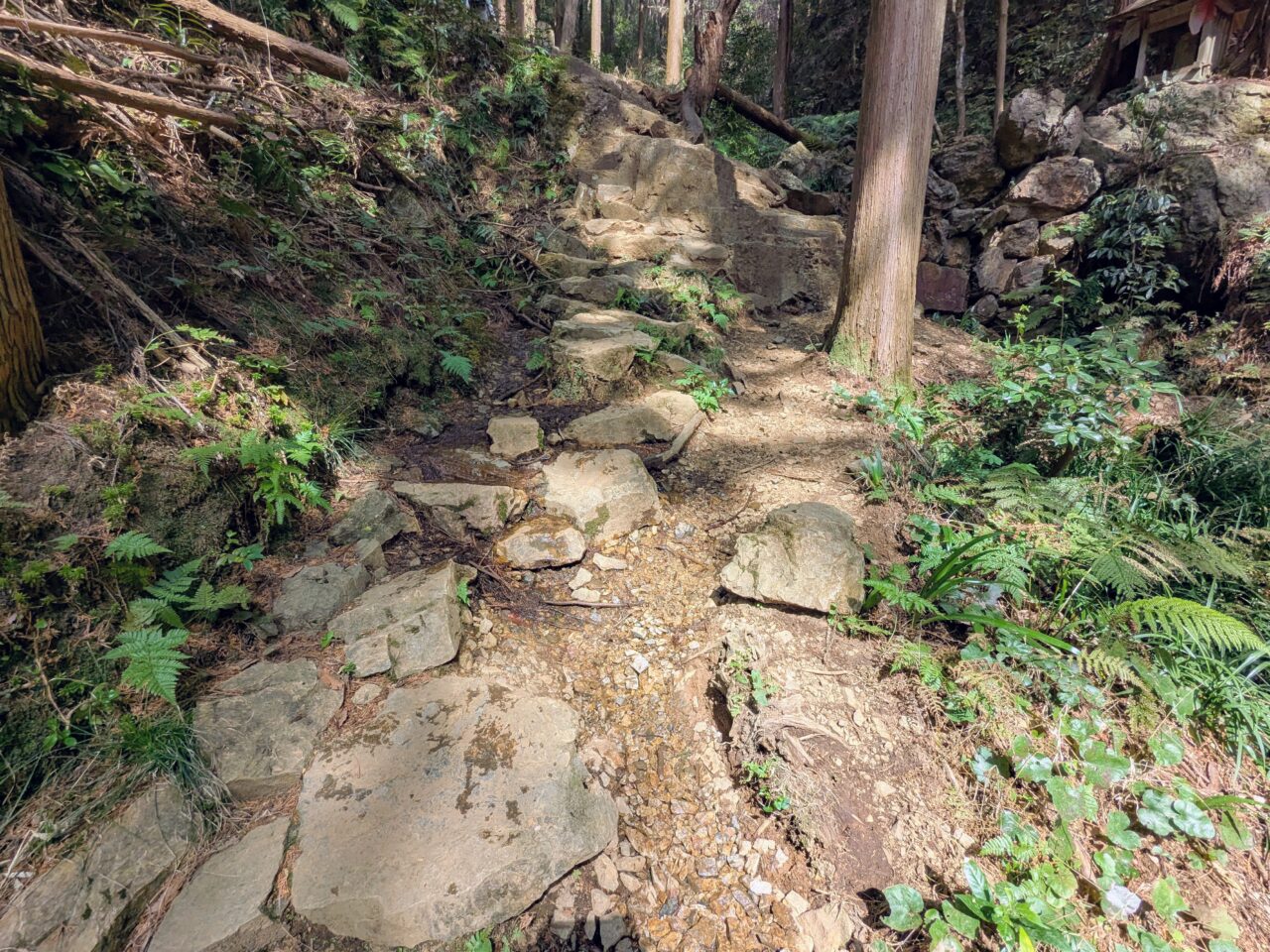 日和田山(日和田山登山口から日和田山山頂)