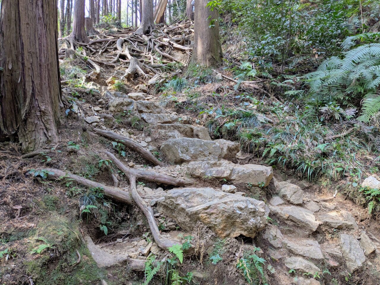 日和田山(日和田山登山口から日和田山山頂)